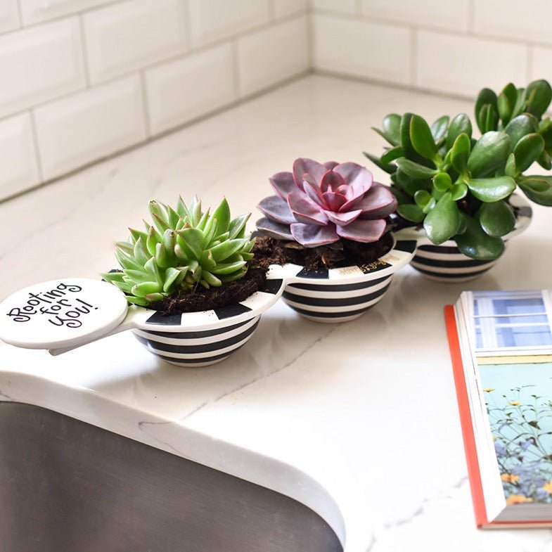 Happy Everything Black Stripe Mini Trio Bowl - #confetti-gift-and-party #-Happy Everything
